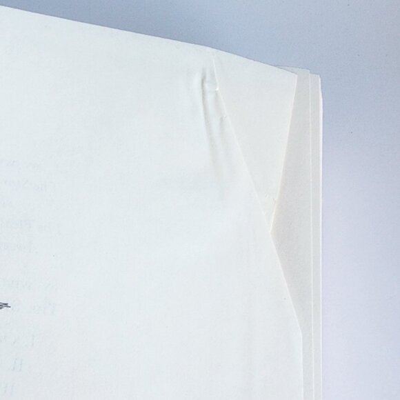 Will Durant The Story of Civilization Part III: Caesar and Christ 1944 - Picture 9 of 14